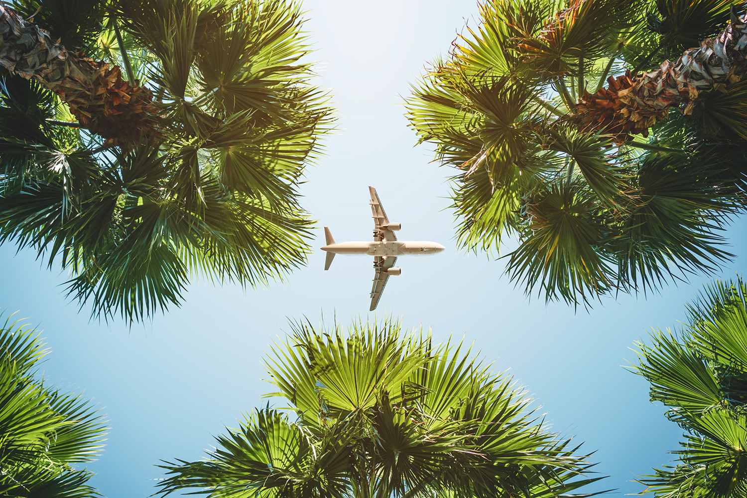 Plane flying overhead